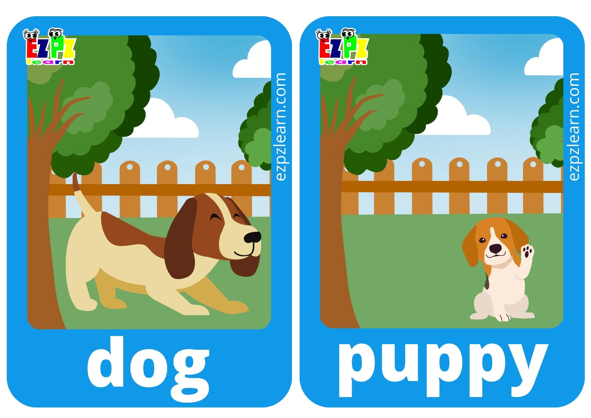 dog and puppy